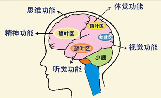 大脑异常放电是怎么回事